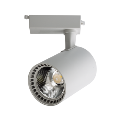 Ledlam 30W Ray Spot Beyaz Kasa