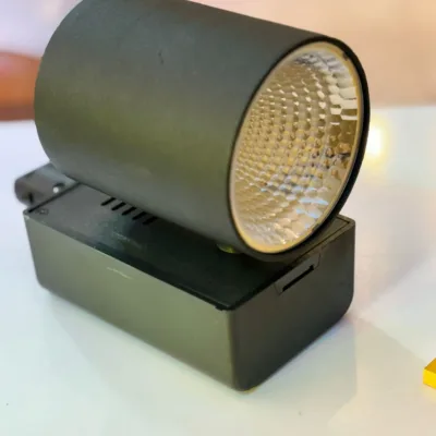 40W LEDLAM RAY SPOT CLASSICAL